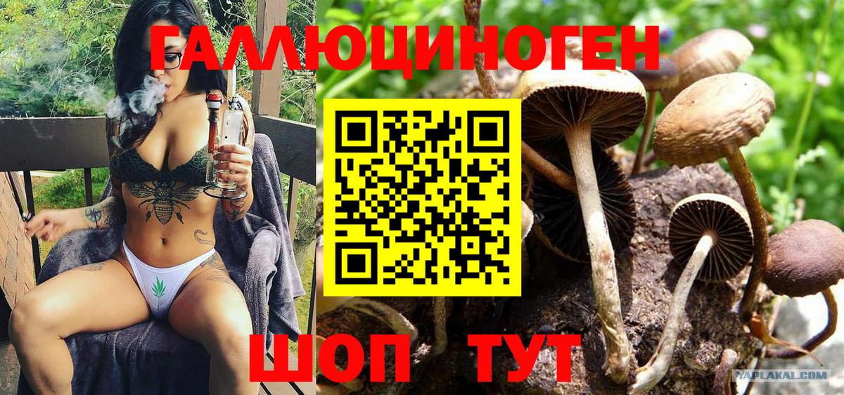 Псилоцибиновые грибы мухоморы Ишимбай
